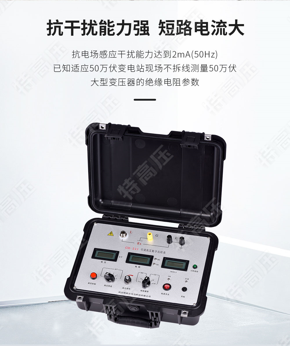 GM-5kV 可調高壓數字兆歐表(圖2)