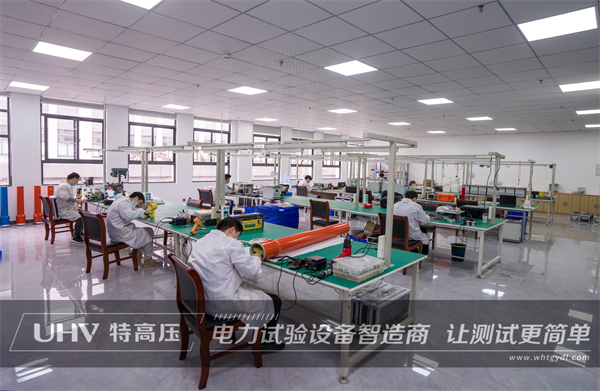 貴客臨門！熱烈歡迎江蘇客戶來訪特高壓電力實(shí)地考察(圖4)